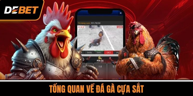 Tổng Quan Về Đá Gà Cựa Sắt