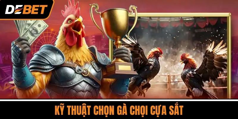 Kỹ Thuật Chọn Gà Chọi Cựa Sắt