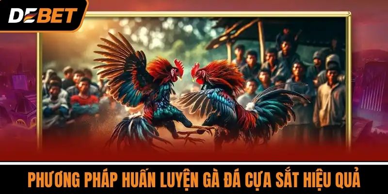 Phương Pháp Huấn Luyện Gà Đá Cựa Sắt Hiệu Quả