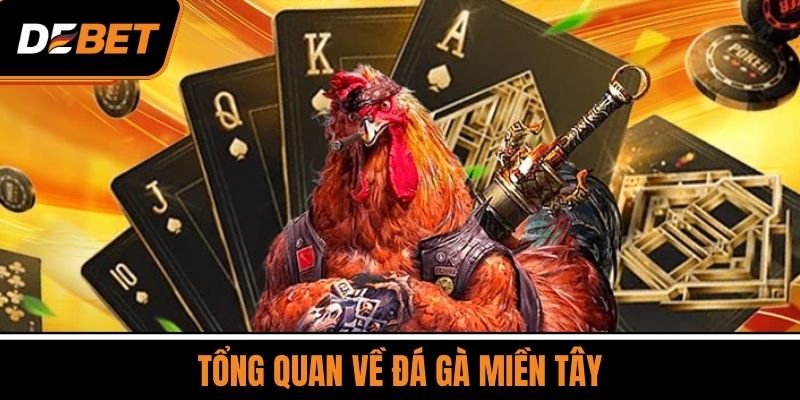 Tổng Quan Về Đá Gà Miền Tây