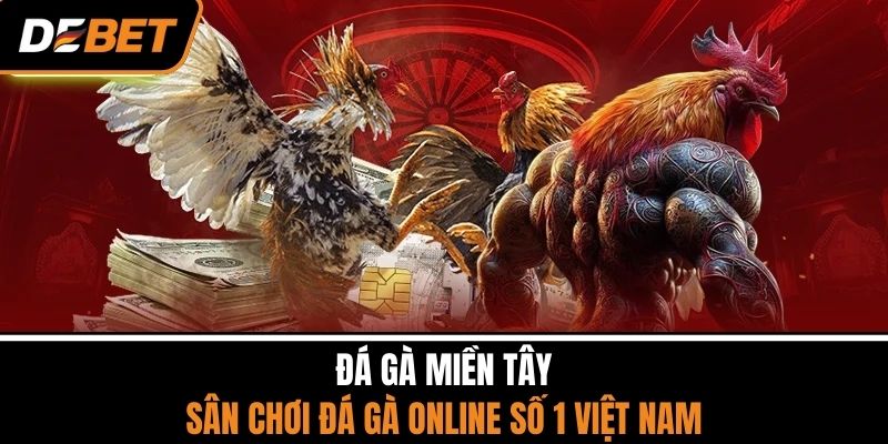 Đá Gà Miền Tây - Sân Chơi Đá Gà Online Số 1 Việt Nam