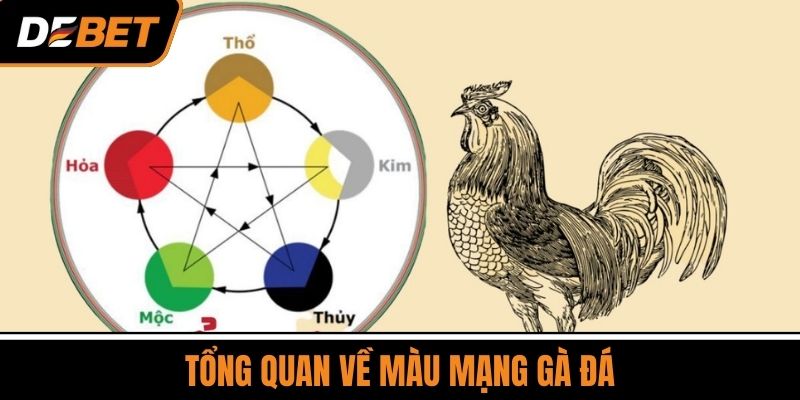 Tổng Quan Về Màu Mạng Gà Đá