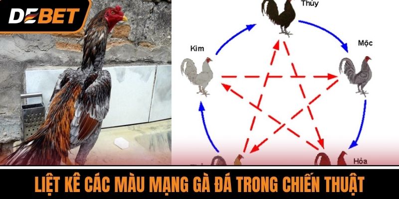 Liệt Kê Các Màu Mạng Gà Đá Trong Chiến Thuật