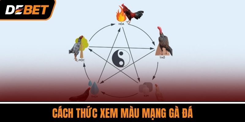 Cách Thức Xem Màu Mạng Gà Đá